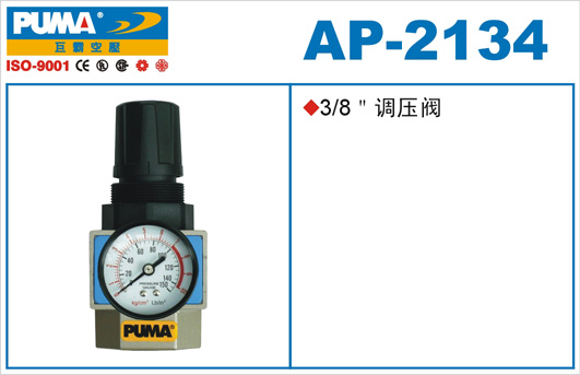 AP2134s
